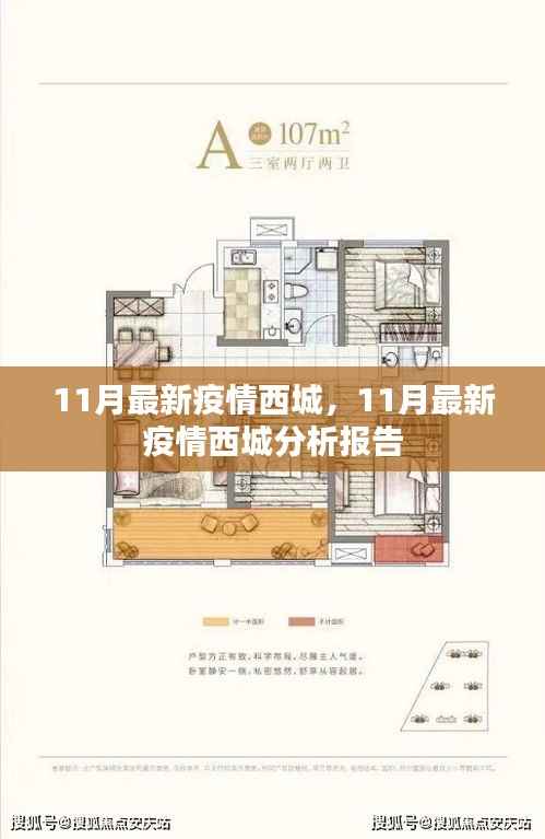 11月最新西城疫情分析报告，现状与趋势观察