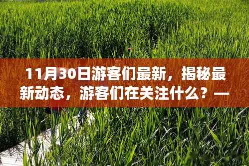 揭秘游客最新关注热点,十一月末的热门旅游动态探讨