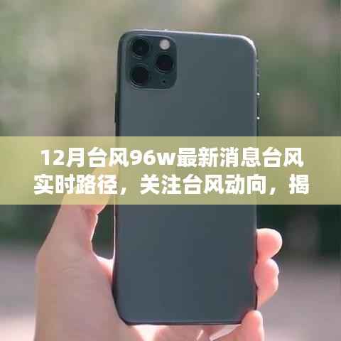 林下风范 第2页