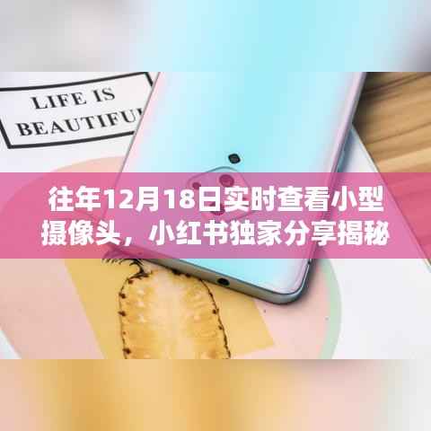 小红书独家揭秘，往年12月18日实时查看小型摄像头的神奇体验纪实！