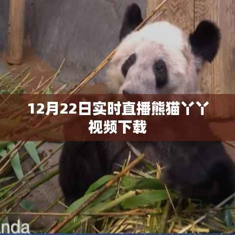 删繁就简 第3页