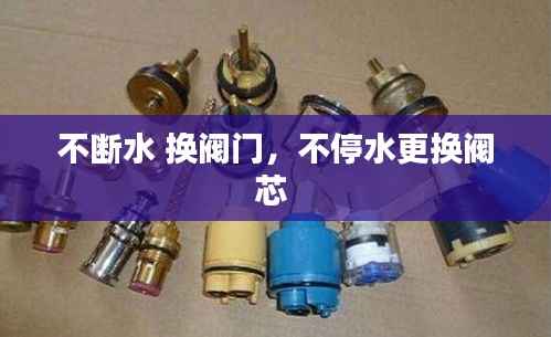 不断水 换阀门,不停水更换阀芯