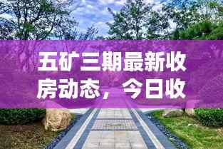 五矿三期最新收房动态,今日收房情况揭秘!